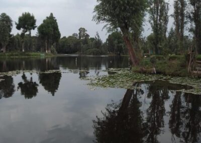 paseos en trajinera